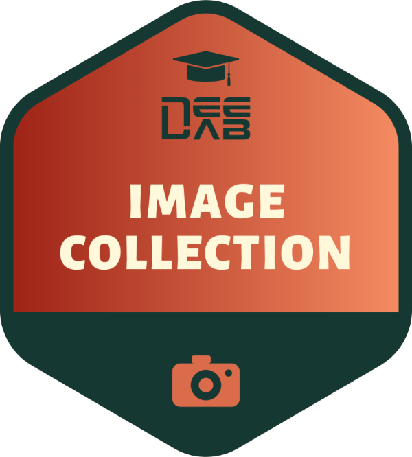 Image Collection Foundations badge