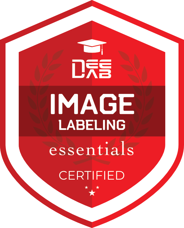 Image Labeling Essentials badge