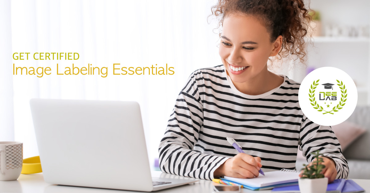 Image Labeling Essentials