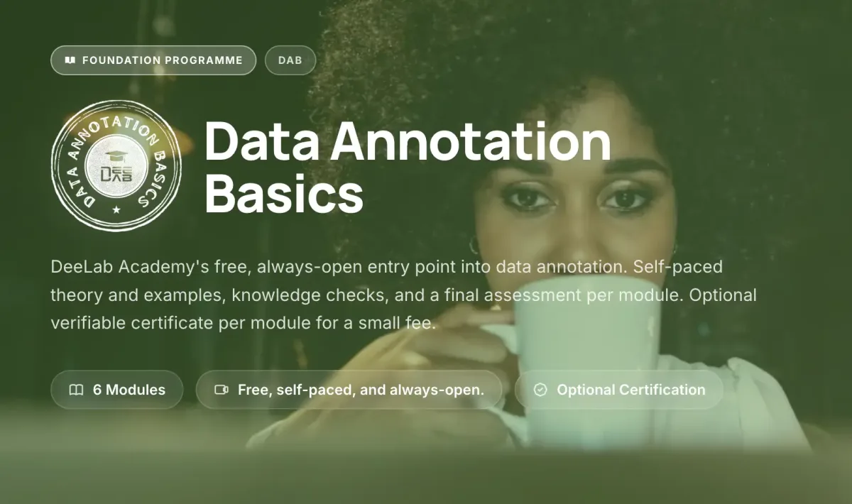 Data Annotation Basics course banner — DeeLab Academy's free foundation programme in data annotation